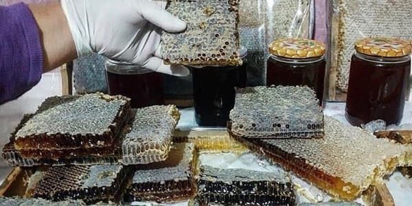 تصویر 2 از خرید و قیمت عسل سیاه کردستان + فروش صادراتی